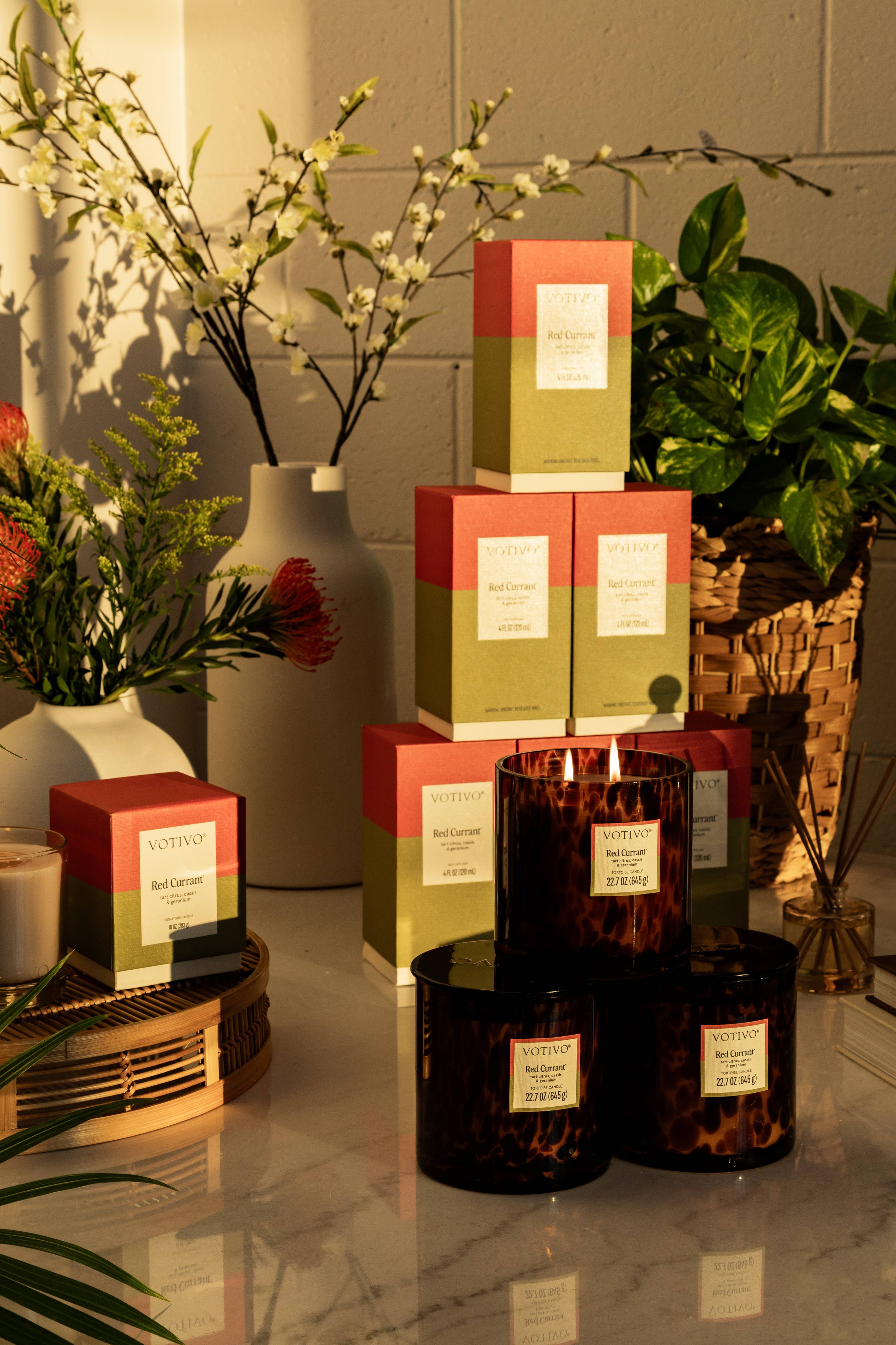 Red Currant Tortoise Candle | Americana Summer