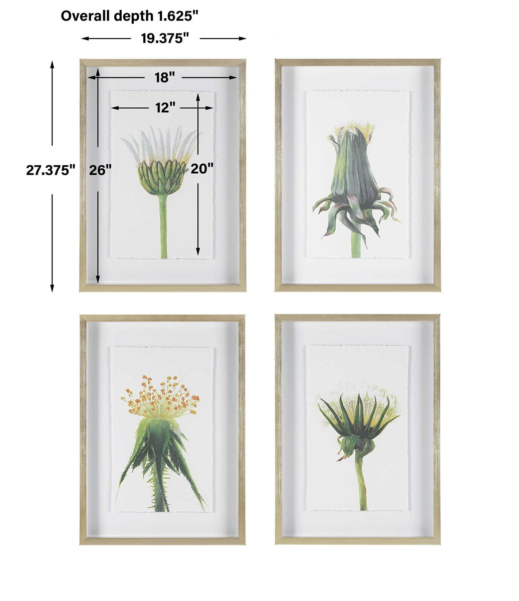 Open Wildflower Framed Print