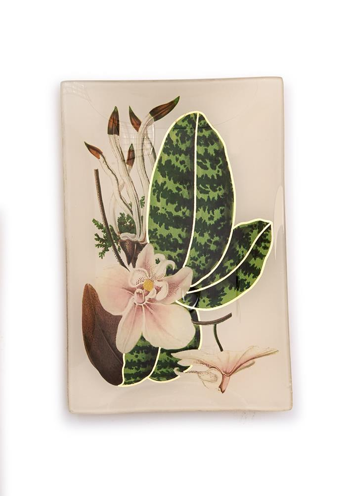 Botanical Glass Trinket Tray