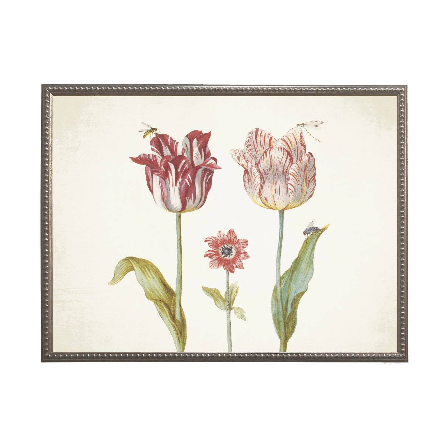 Vintage tulip I bookplate on a distressed background: Beaded gold frame 1315-70 / 16" X 12"