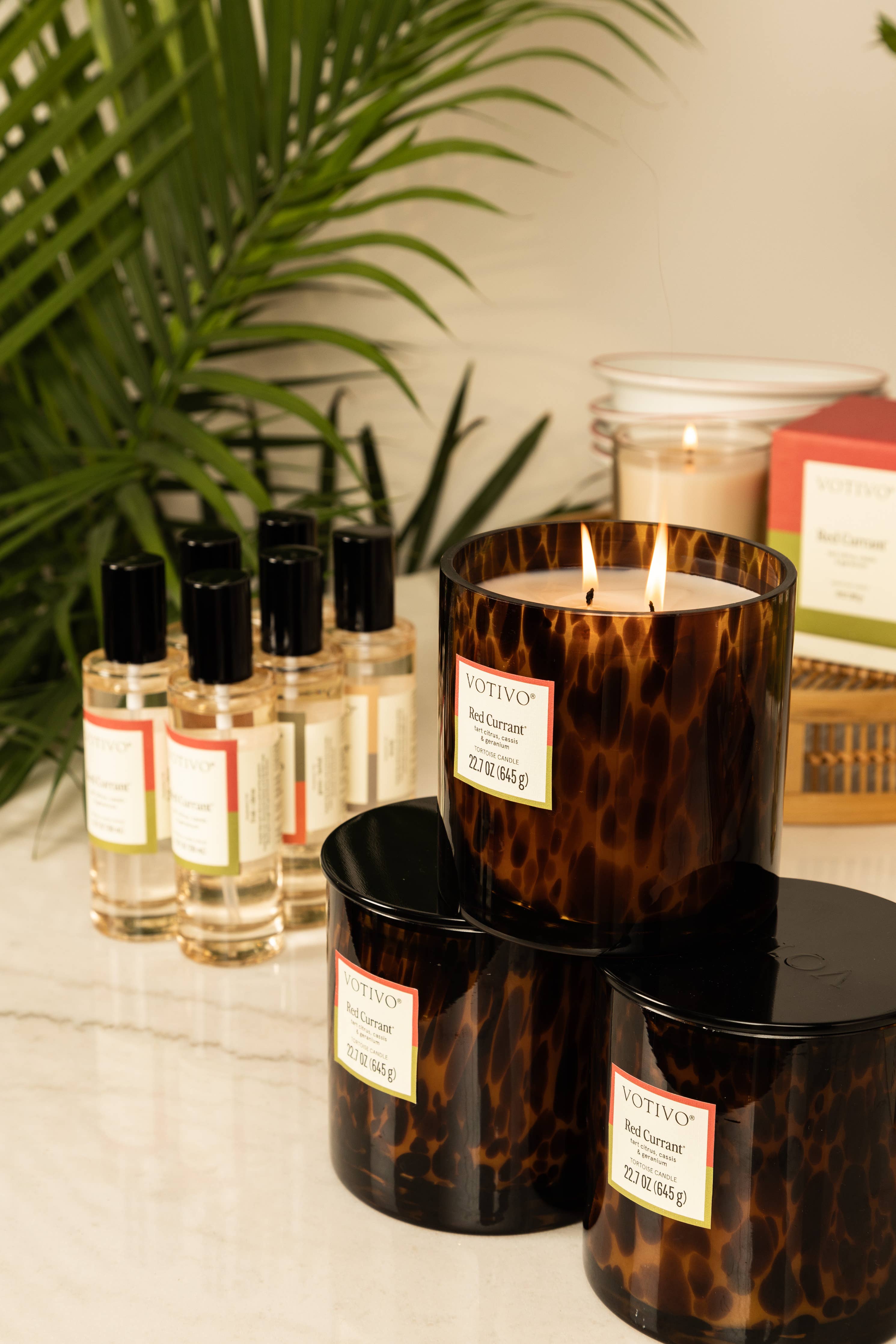 Red Currant Tortoise Candle | Americana Summer