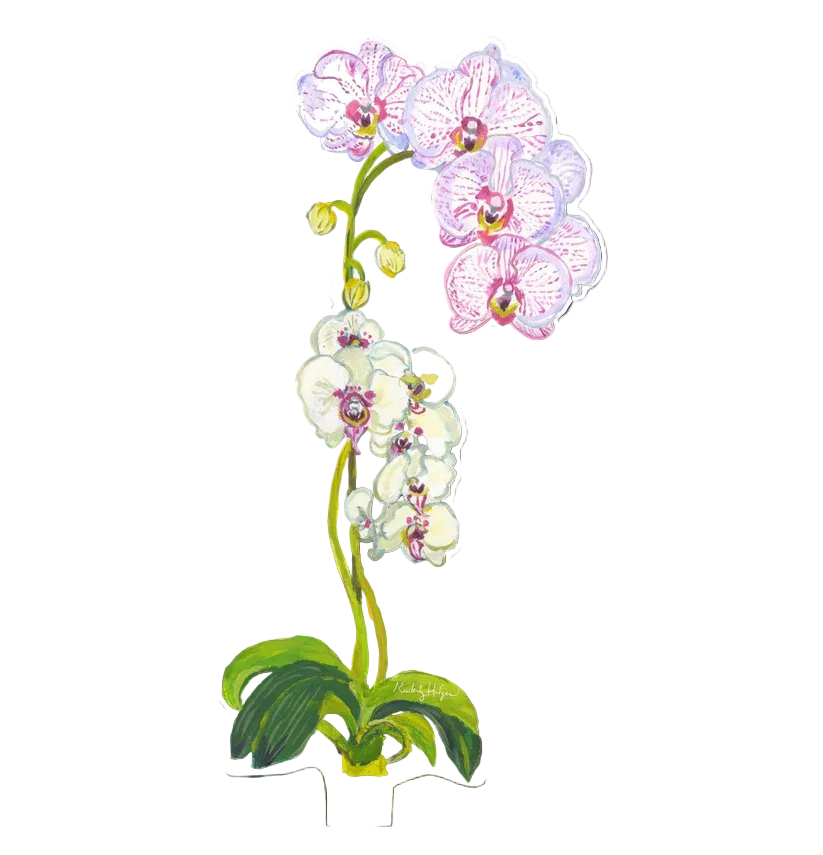 Pink Stripe Acrylic Orchid, Large