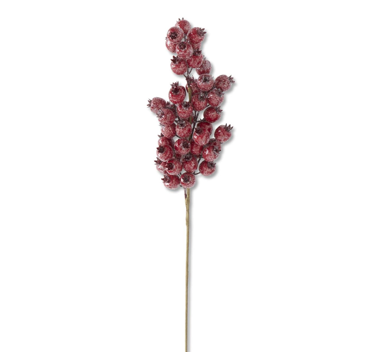 24" Glittered Red Rosehip Stem