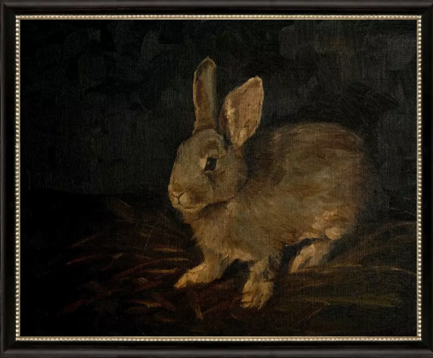 Resting Bunny Art - D