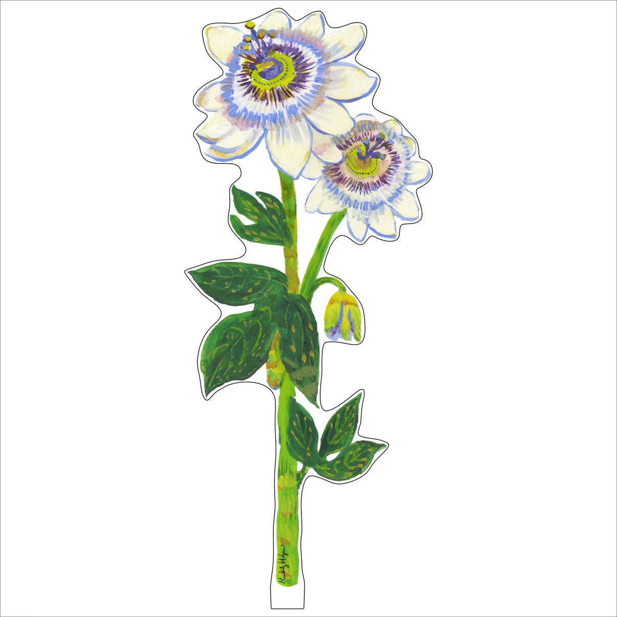 Passion Flowers Acrylic Single Flower -Large