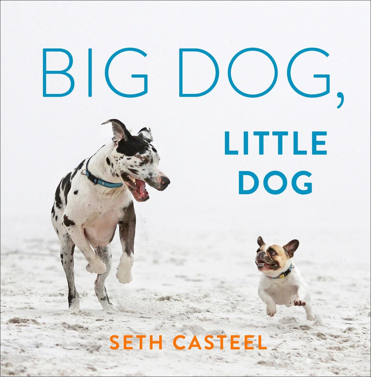 Big Dog, Little Dog Book