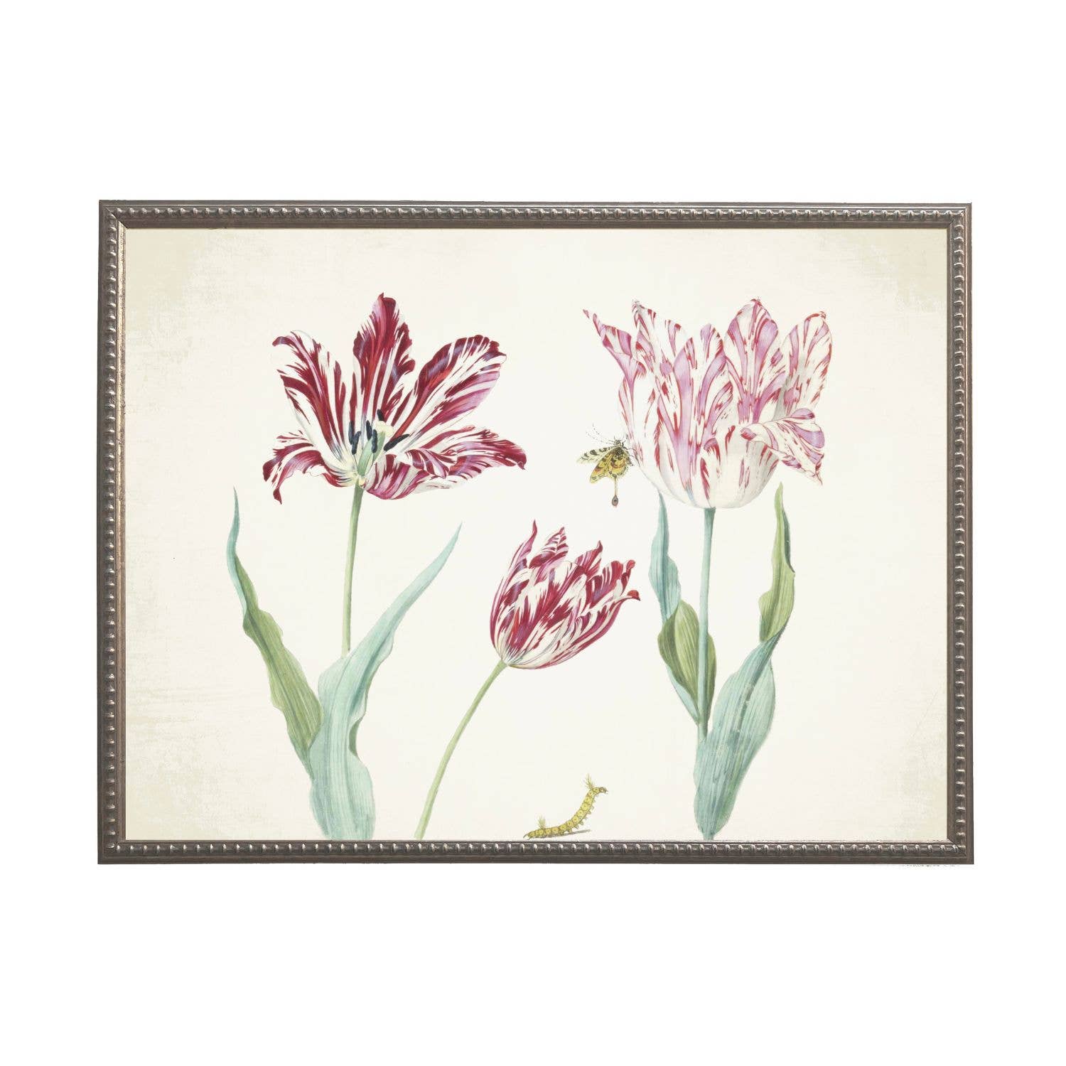 Vintage tulip J bookplate on a distressed background: Beaded gold frame 1315-70 / 16" X 12"