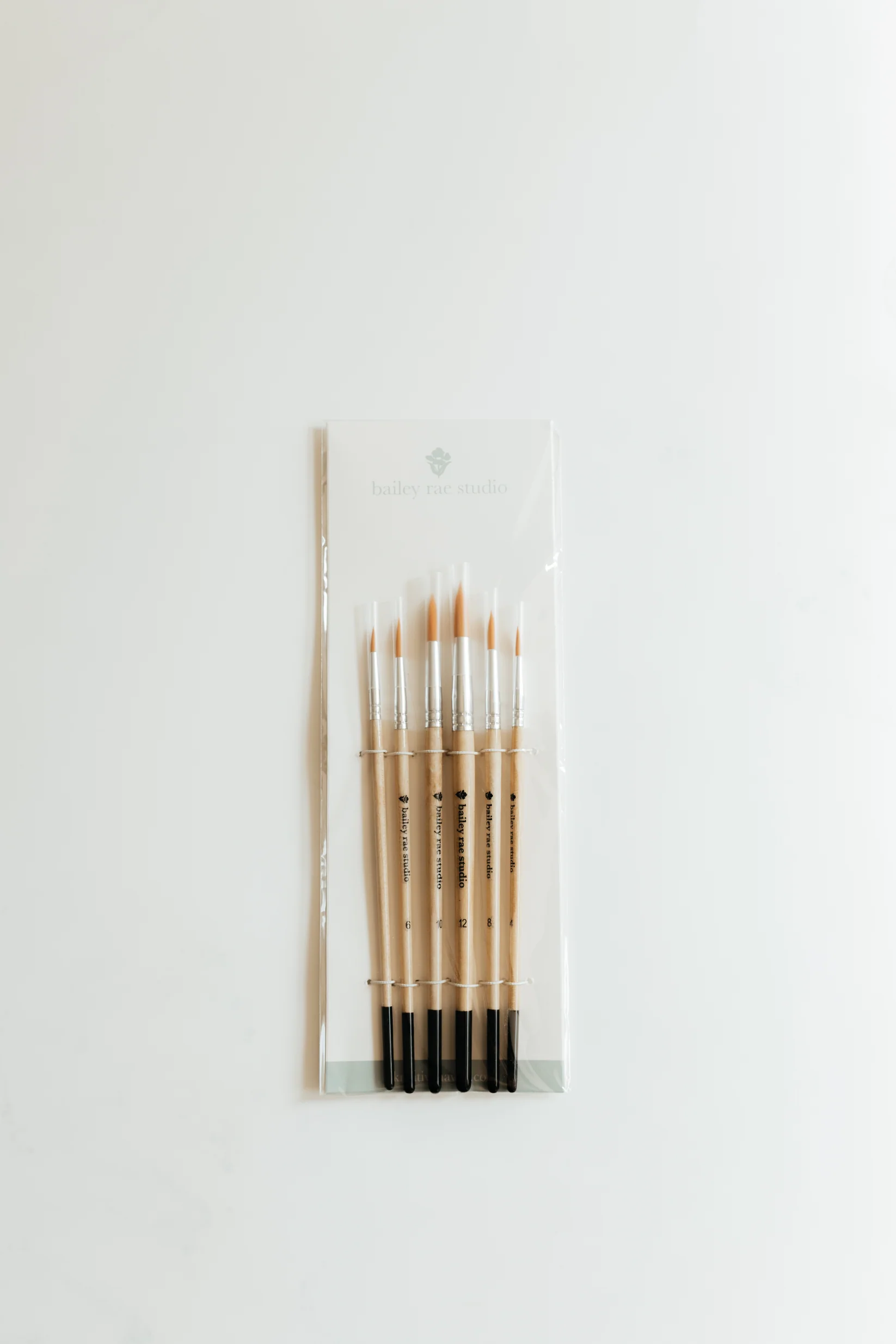 Watercolor Brush Set of 6