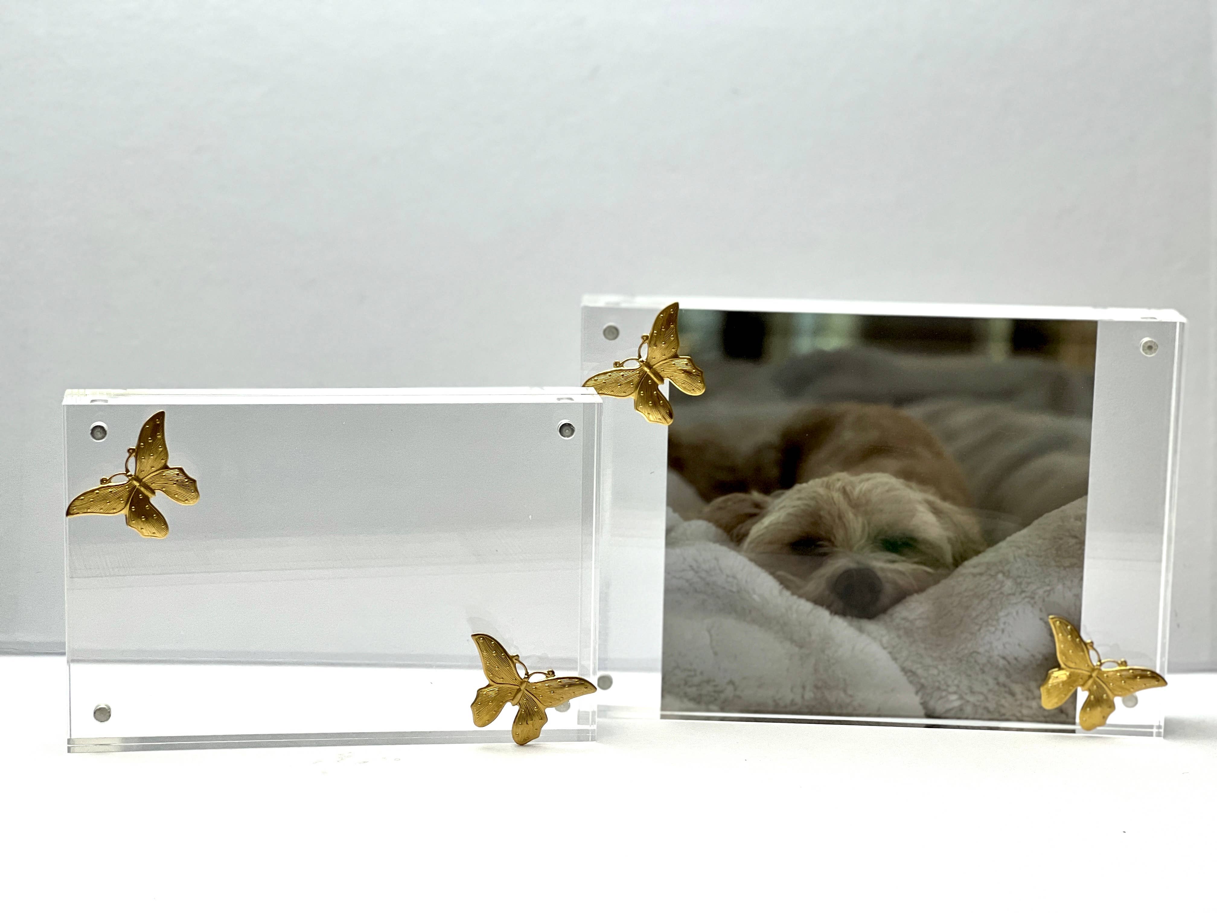 Acrylic frames: 5x7 / Butterflies