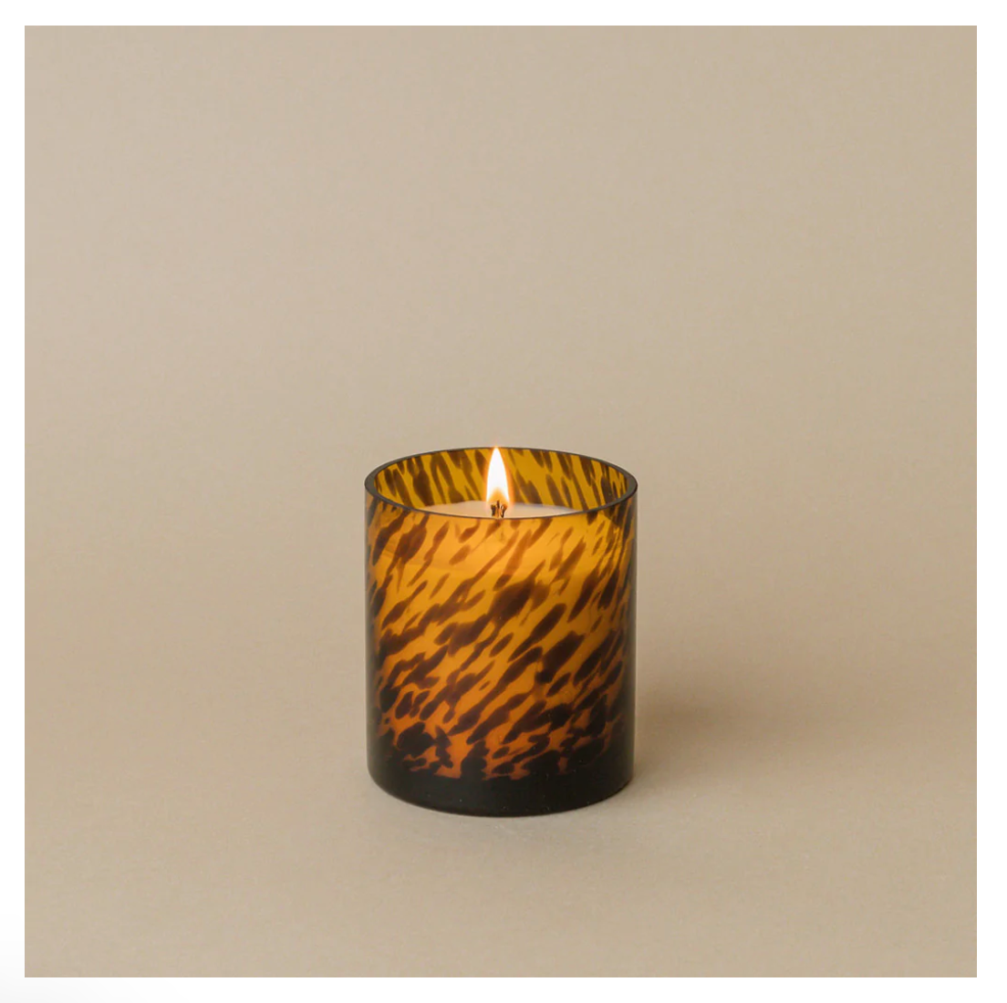 Tortoise Red Currant Candle