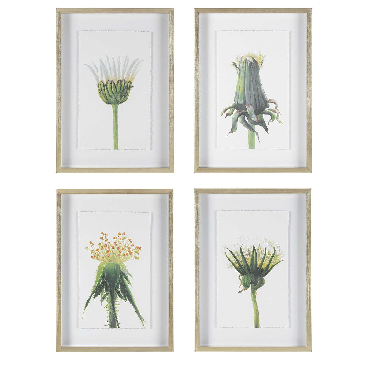 Wildflowers Framed Prints. Sold seperately.